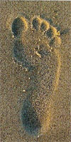 footprint